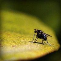/album/adolescenza/photolia-a07-jpg/