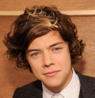 /album/adolescenza/a9-harry-styles-haircut-2013-jpg/